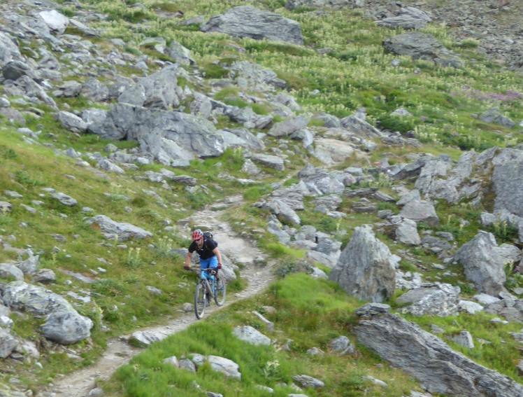 11807788_10153618041478939_8653736117501577505_o