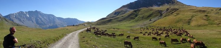 11825651_10155841236230696_4463457408600688892_n